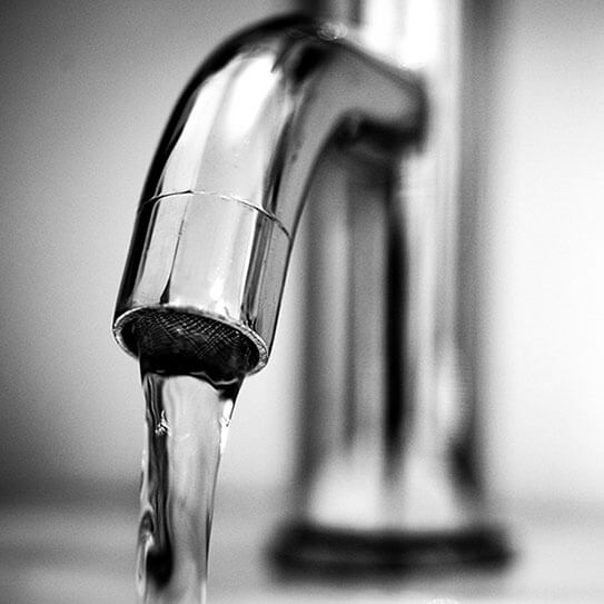 Fluoride and Cavity Prevention Elevation Endodontics