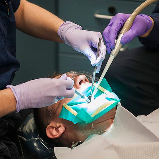 Endodontics Colorado Springs | Elevation Endodontics -