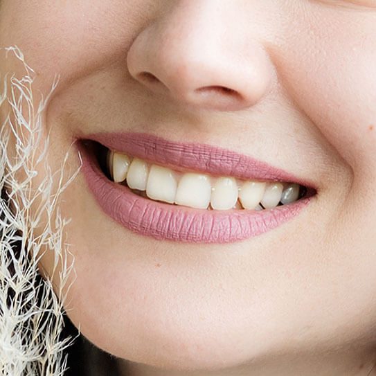 Endodontics Colorado Springs | Elevation Endodontics -