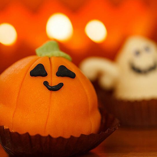 Endodontics Colorado Springs | Elevation Endodontics -