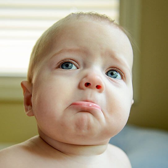 Endodontics Colorado Springs | Elevation Endodontics -