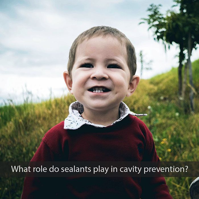 Endodontics Colorado Springs | Elevation Endodontics -