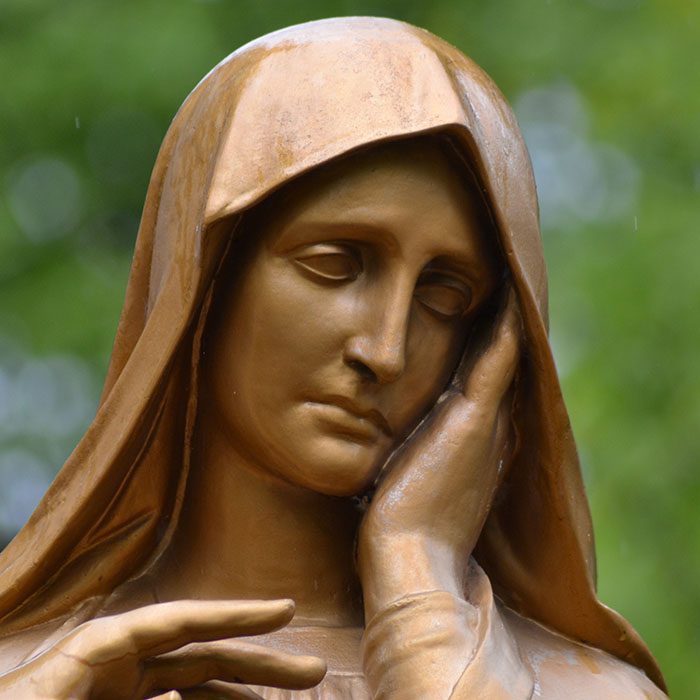 Endodontics Colorado Springs | Elevation Endodontics -