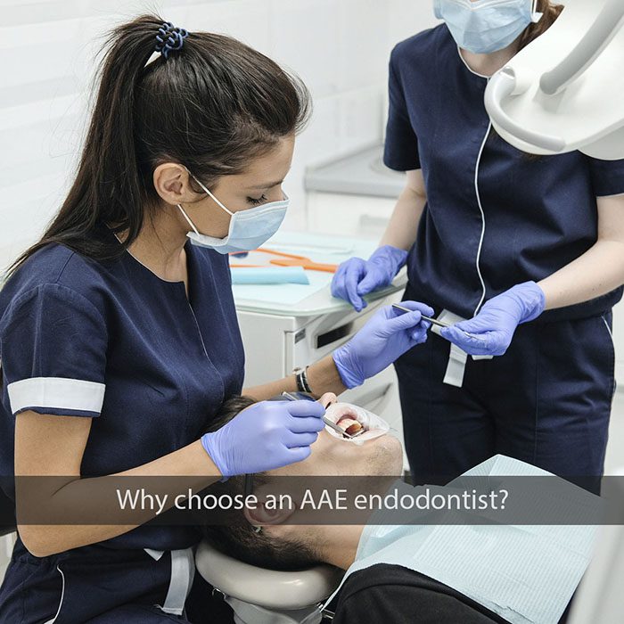 Elevation Endodontics |