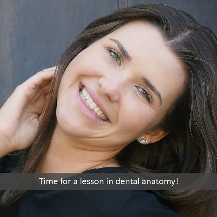 Elevation Endodontics |