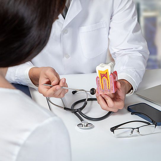 Elevation Endodontics |