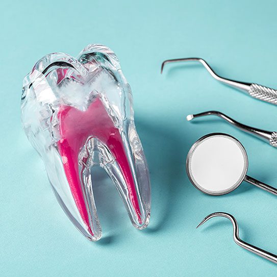 Endodontics Colorado Springs | Elevation Endodontics -