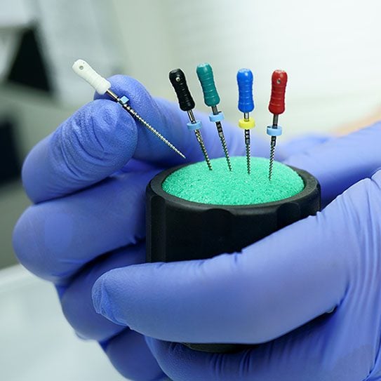 Endodontics Colorado Springs | Elevation Endodontics -